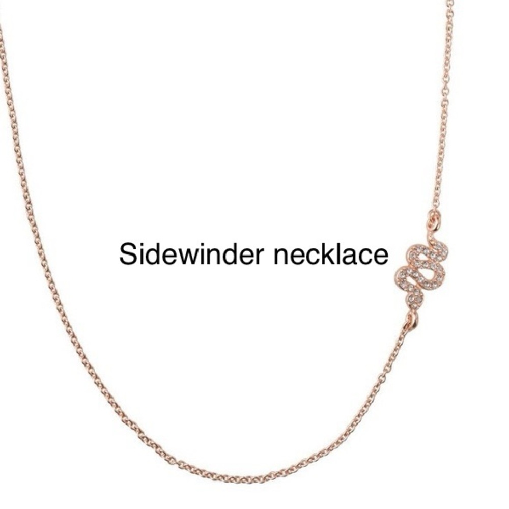 Stella & Dot sidewinder necklace